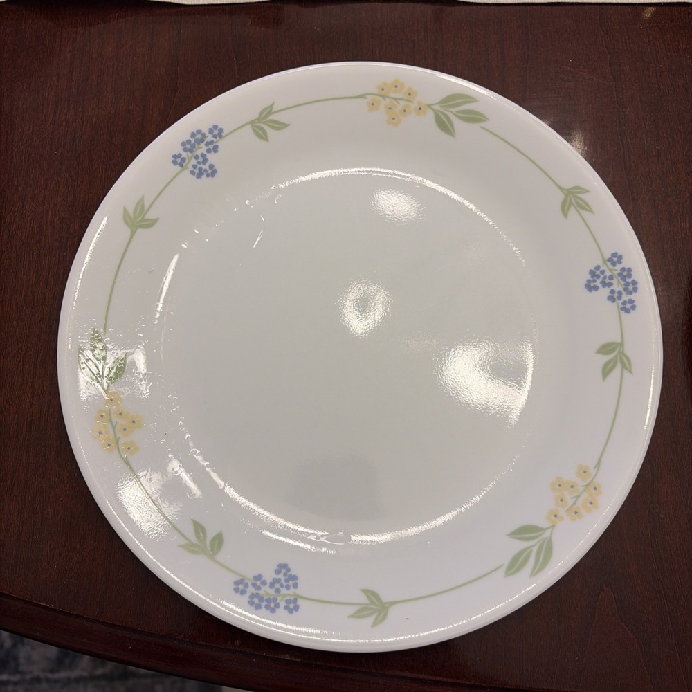 Corning Corelle SECRET GARDEN 10¼" Dinner Plates Set Of 3